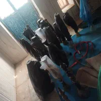 کافه قلیان لوازم کافه مبل