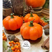 سلام ، سفارش انواع شمع پذیرفته میشود|صنایع دستی و سایر لوازم تزئینی|گرمدره, |دیوار