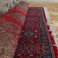 فرش و دیجیتال|فرش|ایلام, |دیوار