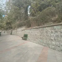 خدماتی و نظافت منازل