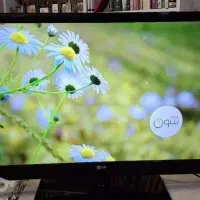 ال سی دی42اینچ مارک ال جی(LG)|تلویزیون و پروژکتور|دوگنبدان, |دیوار