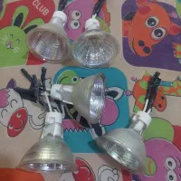 آلوژن و لامپ نورافکن|لامپ و چراغ|اقبالیه, |دیوار