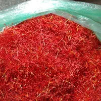 فروش زعفران نگین پوشال|حراج|زاوه, |دیوار