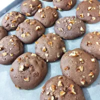 فروش کوکی لاهیجان جهت همکاری با مغازه ها|خوردنی و آشامیدنی|رشت, بازار|دیوار