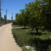 زمین-با-اب-و-برق-و-گاز-درختان-ثمری-20ساله