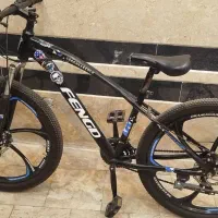 دوچرخه 24 رینگ اسپرت