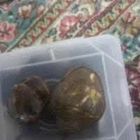 زوعیه|کلکسیون اشیاء عتیقه|زاهدان, |دیوار