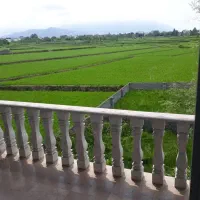 استخرنوساز باجکوزی آب گرم|اجارهٔ کوتاه‌مدت ویلا و باغ|نوشهر, |دیوار