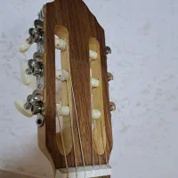 گیتار|گیتار، بیس، امپلیفایر|رشت, سعدی (تختی)|دیوار