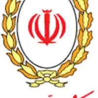 ضامن با رتبه c2 میشم چک دیجیتال دارم