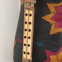 نی انبان حرفه ای