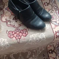 کفش وکیف|کیف، کفش، کمربند|میاندوآب, |دیوار