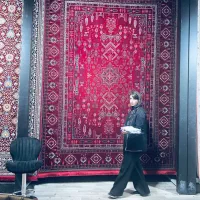 فرش سوفیا شونهر فروش فوری اقتصادی به صرفه|فرش|شیراز, شهرک سراج|دیوار