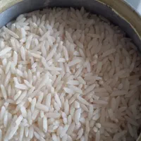 برنج طارم هاشمی