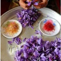 زعفران پاک کن