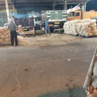 اجاره ۳ دنگ حجره|اجارهٔ مغازه و غرفه|تهران, میدان میوه و تره‌بار مرکزی|دیوار