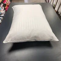 بالش پر اردک الین نرم راحت قابل شستشو|رختخواب، بالش، پتو|تهران, فاطمی|دیوار