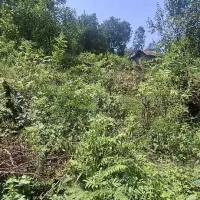 1500مسکونی کوهستانی بر اسفالت|فروش زمین و ملک کلنگی|احمدسرگوراب, |دیوار
