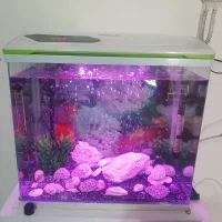 آکواریوم شرکتی شیشه خم با کلیه لوازم
