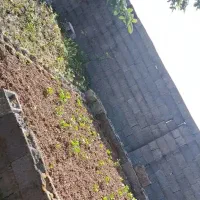 زمین مسکونی به متراژ۱۰۰متر .|فروش زمین و ملک کلنگی|رشت, کوی یخ|دیوار