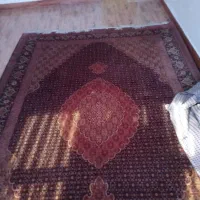 قالی 6متری نقشه ماهی دستباف 50رج کامل سالم|فرش|تهران, آرژانتین|دیوار