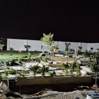 استخدام نیرو اقا کار در باغ تالار