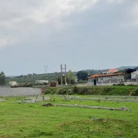 پلاک۲جنگل /خوش نشین