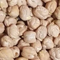 نخود زود پز درجه 1