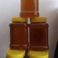 عسل هندبید