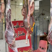 گوسفندزنده  وگوشت گوسفندی کشتارروز|حیوانات مزرعه|شیراز, کرونی(خاتونک)|دیوار