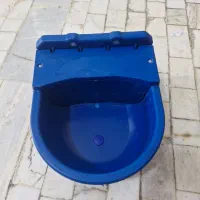 اب خوری گوسفند و اسب