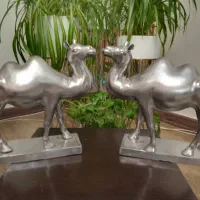 شتر علامت محرم