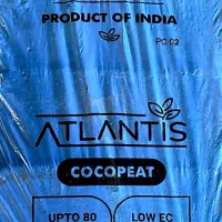 کوکوپیت هندی