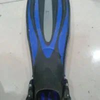 پیدا شده