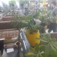 نان داغ کباب داغ پسران اصلان.|خدمات پذیرایی، مراسم|همدان, |دیوار