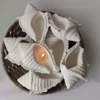 دکوری های خاص|مجسمه، تندیس، ماکت|مشهد, خواجه ربیع|دیوار