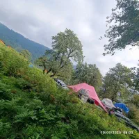 برگزاری تور خانوادگی