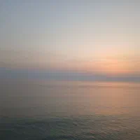 فروش زمین در نخل تقی