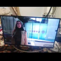 تلوزیون|تلویزیون و پروژکتور|تربتحیدریه, باغ سلطانی|دیوار