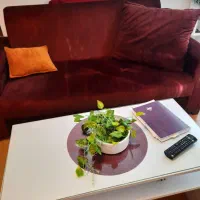 کاناپه تخت خواب شو|مبلمان خانگی و میز عسلی|تهران, کاشانک|دیوار