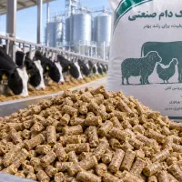 فروش خوراک دام پلت شده کیفیت بسیارخوب