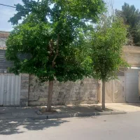 ویلایی-دوبلکس