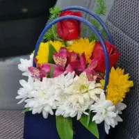 گل گل سوپرایزی