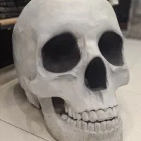 دکوری جمجمه بزرگ