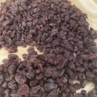 کشمش سرکه ای|عمده‌فروشی|قرچک, زیبا شهر|دیوار