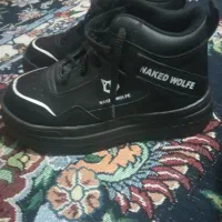 کفش نو|کیف، کفش، کمربند|تربت‌حیدریه, منظر|دیوار