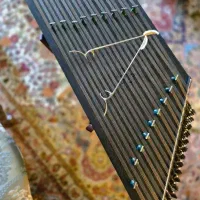 سنتور پیام سالاری