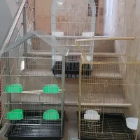 قفس بزرگ وکوچک|لوازم جانبی حیوانات|تهران, دهقان|دیوار