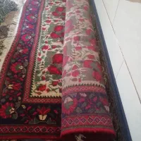 قالی گل سرخ اسفندقه،بسیار زیباوشیک|فرش|جیرفت, |دیوار