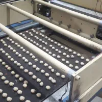 نیروی کار بومی